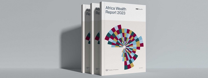 Отчет о благосостоянии Африки 2023: пять стран Африки владеют половиной частного капитала континента
