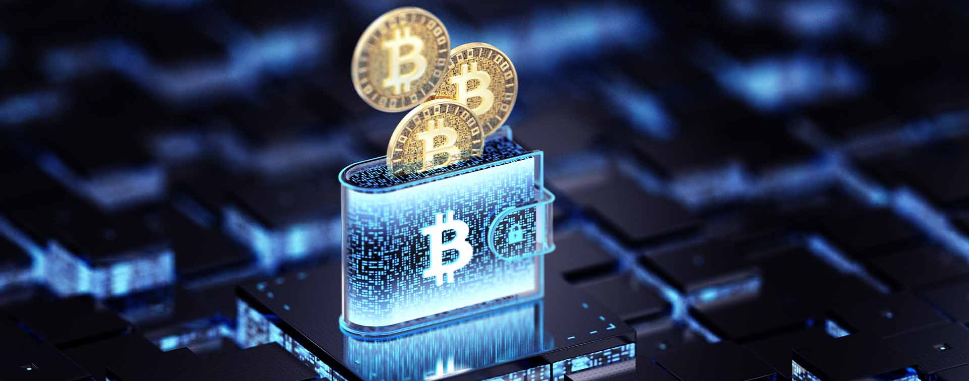 Crypto wallet - cyber security concepts