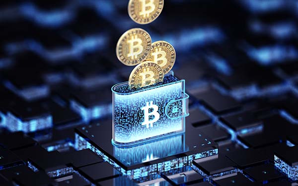 Crypto wallet - cyber security concepts
