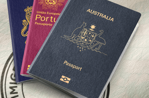 Passports and Fine Art: What Collectors Need to Know