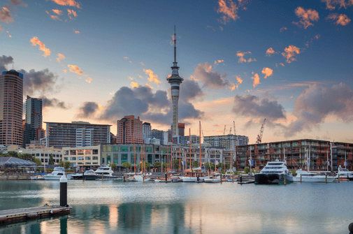 Leading Residence Program Series: New Zealand