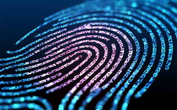 Digital fingerprint with glowing blue and purple patterns