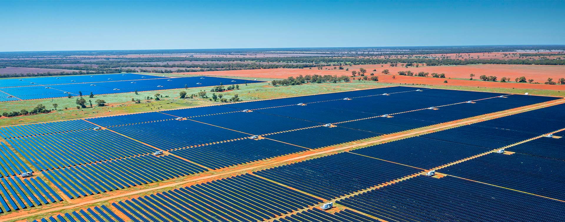 Rows of solar panels in an open field in New South Wales, Australia