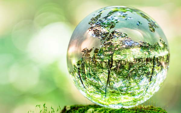 Glass globe balanced on moss-covered tree stump