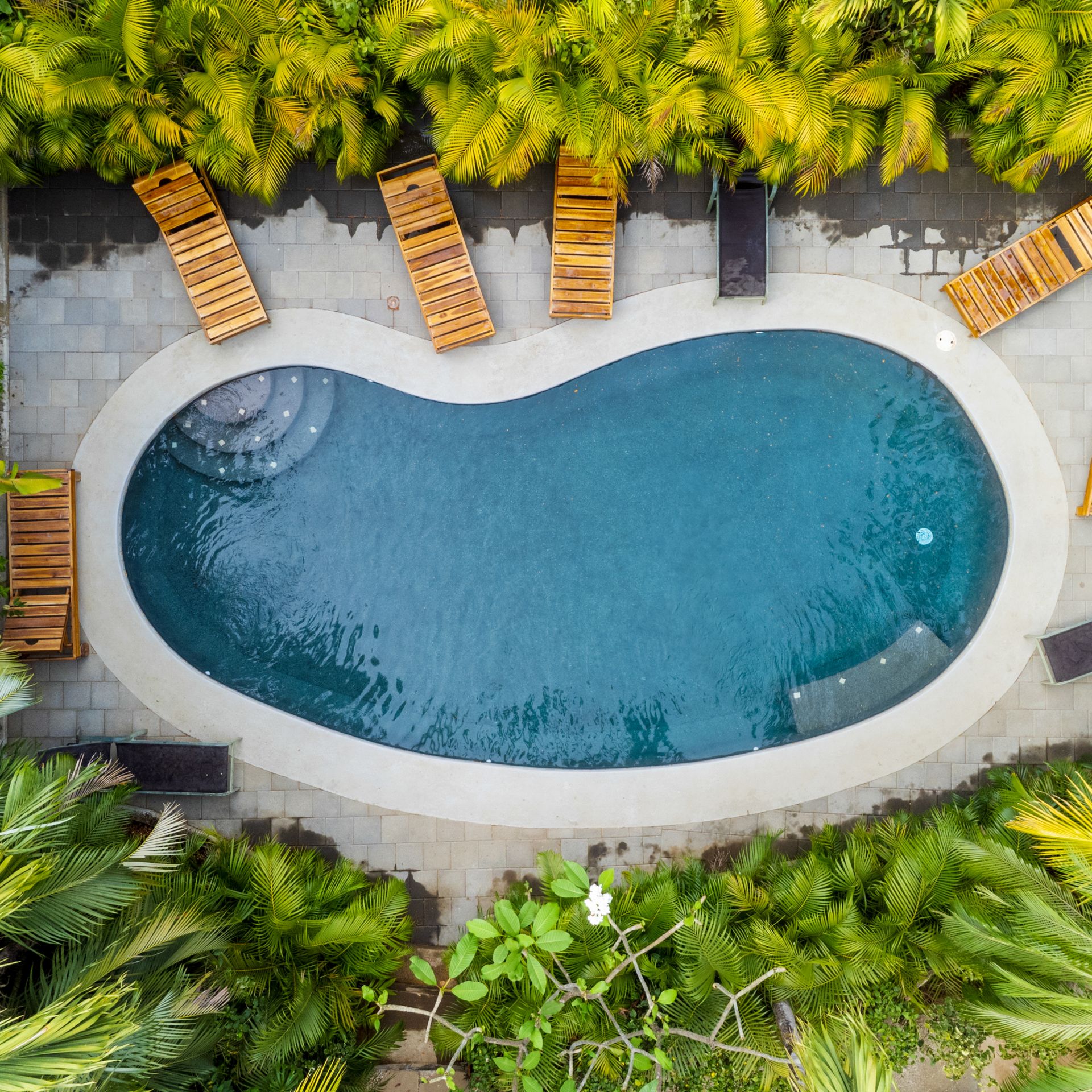 Beach Condo in Tamarindo