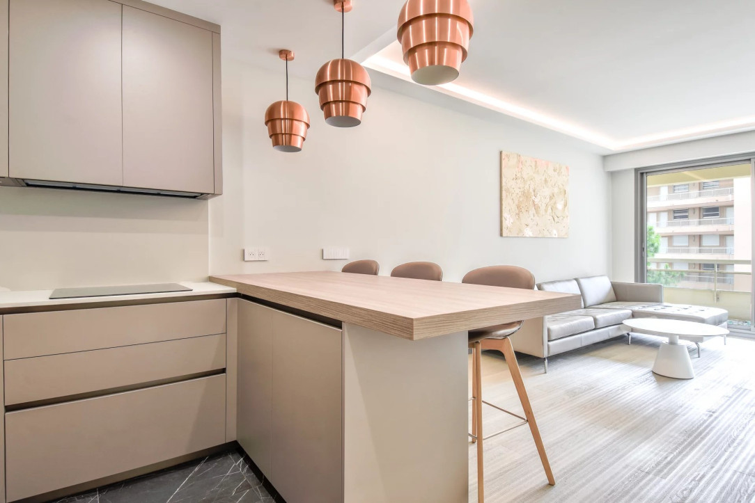Monaco Renovated Apartment La Rousse